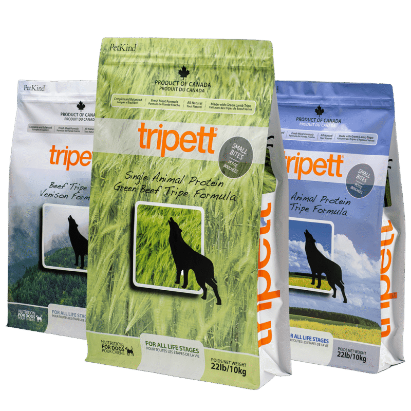 Healthy Dog Food
