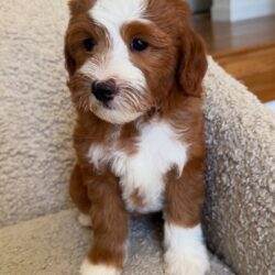 WhatsApp Image 2025-11-29 at 16.10.07_5dce2f7c