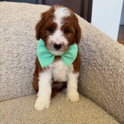 WhatsApp Image 2025-11-29 at 16.13.04_47a2b8b8