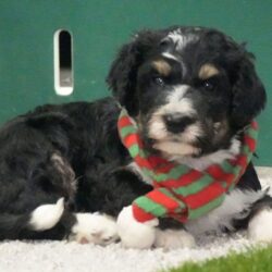 WhatsApp Image 2025-12-01 at 06.47.27_bc0279b0