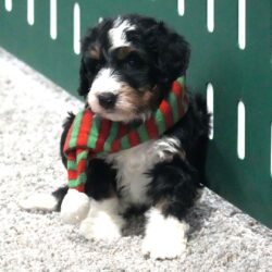 WhatsApp Image 2025-12-01 at 06.51.02_b6542cf5