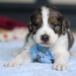 WhatsApp Image 2025-12-01 at 07.00.45_82c06130