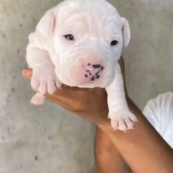 WhatsApp Image 2026-03-31 at 11.50.08 AM (1)