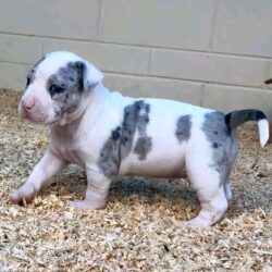 WhatsApp Image 2026-03-31 at 12.30.29 PM