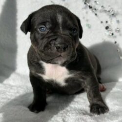 WhatsApp Image 2026-03-31 at 12.32.04 PM